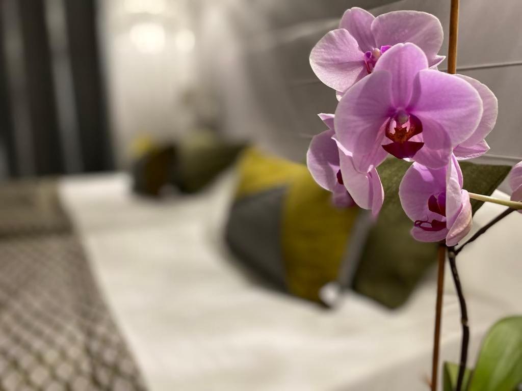 Brit Hotel Acacias Арль Екстер'єр фото